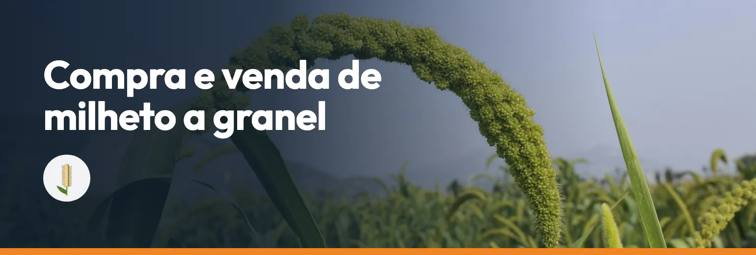 Compra e venda de milheto a granel