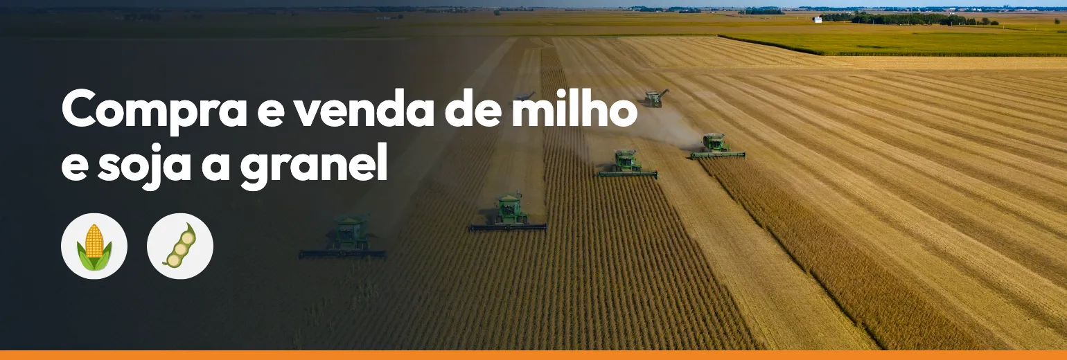 Compra e venda de milho e soja a granel