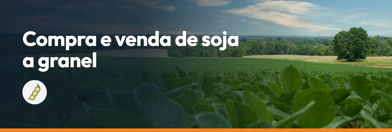 Compra e venda de soja a granel