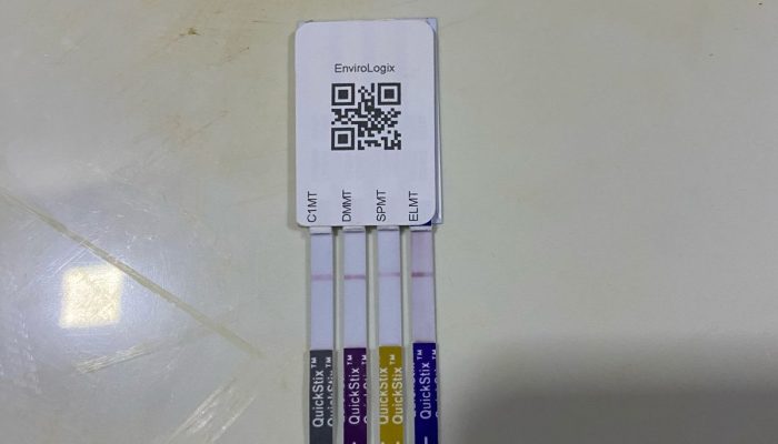 soja-convencional-mato-grosso-MT-03